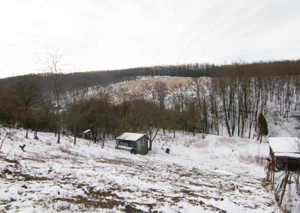 PREDAJ, POZEMOK 1611 m2, GREFTY, STUPAVA