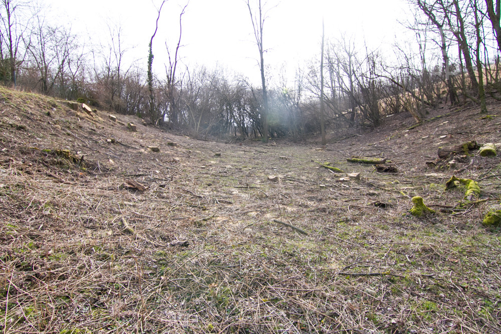 PREDAJ, POZEMOK 730 m2, GREFTY, STUPAVA