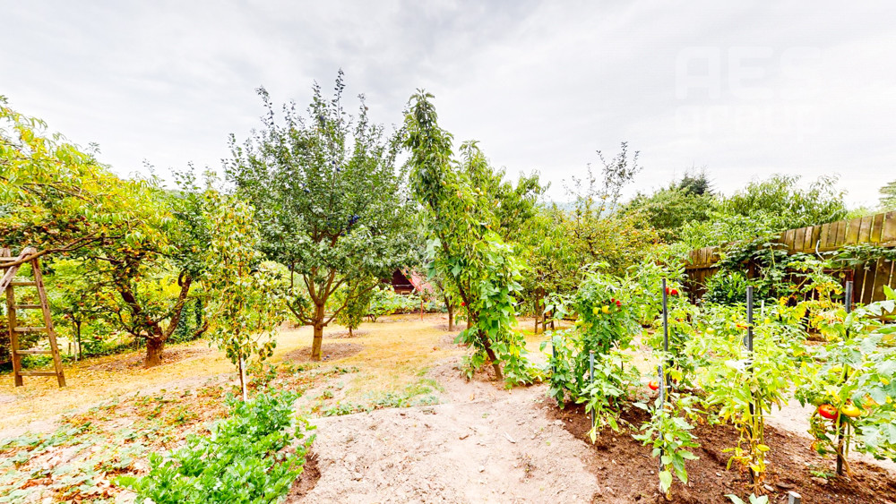 PREDAJ, ZÁHRADA S DVOMA CHATAMI, NOVÁ HORA, STUPAVA